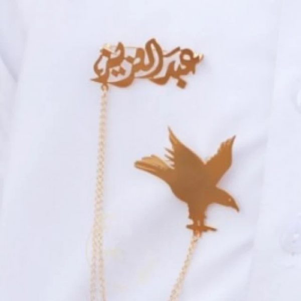 بروش شكل الصقر